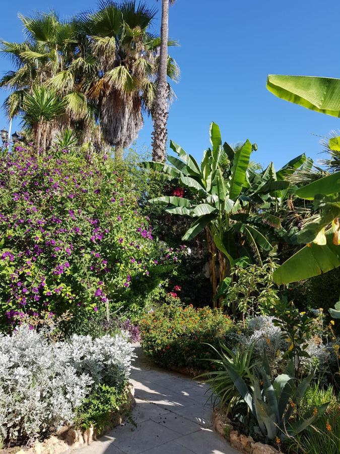Deluxe Studio Athos 50 Mp Garden Patio Benalmadena Golf & Beach Zewnętrze zdjęcie