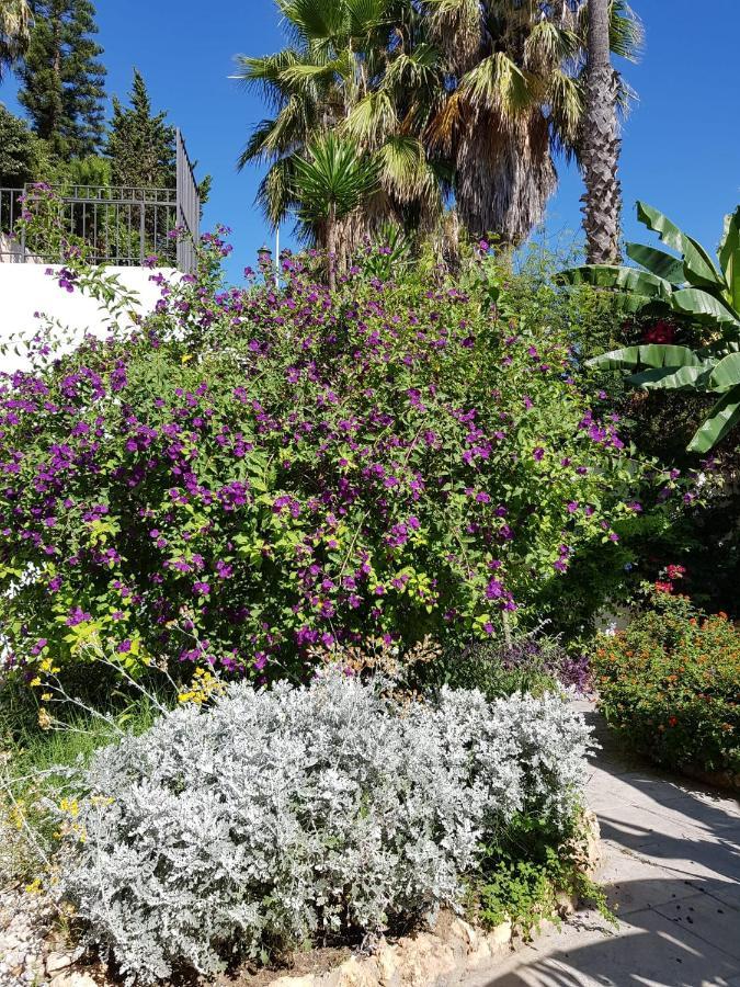 Deluxe Studio Athos 50 Mp Garden Patio Benalmadena Golf & Beach Zewnętrze zdjęcie